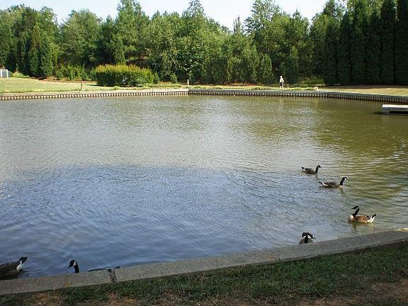 Pond view from Side of Condo