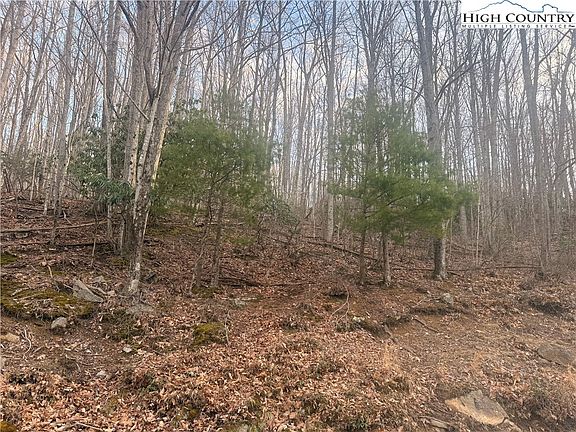 5th image of 212 Jackpine Road