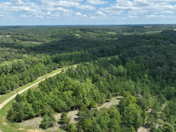 0 Freedom Rdg Lot 14, Indian Mound, TN 37079