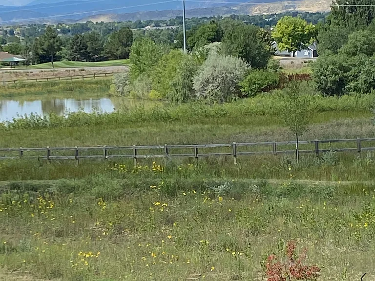 View from deck.
