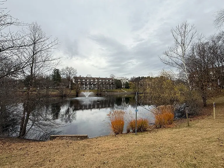 18363 Leman Lake Dr #801 — Photo 20