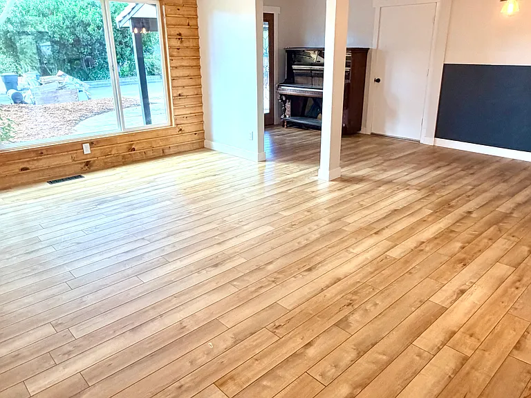 3590 Buena Vista Dr — Photo 5