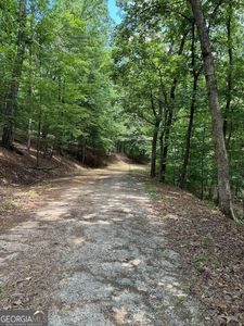 484 Star Lake Ln, Sautee Nacoochee, GA, 30571