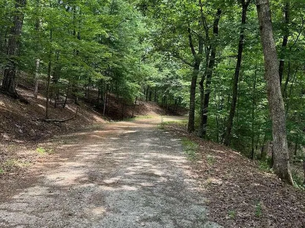 484 Star Lake Ln, Sautee Nacoochee, GA 30571