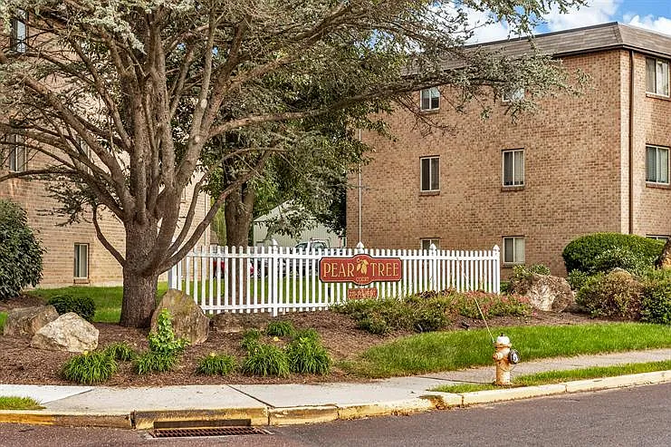 Pear Tree Court Apartments — Photo 4