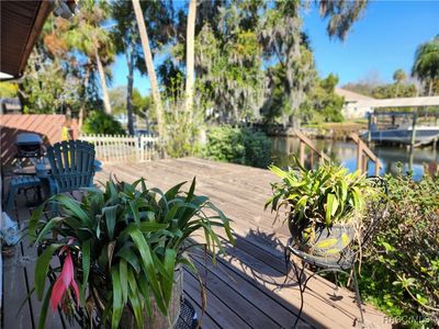 11583 W Riverhaven Dr, Homosassa, FL, 34448