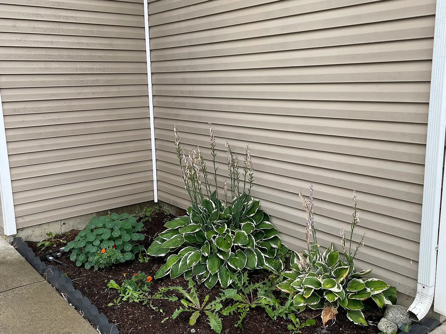 3 bed, 1200 sqft, $1,700 — Photo 3