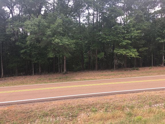2nd image of Highway 51 North Lake Dixie Spgs