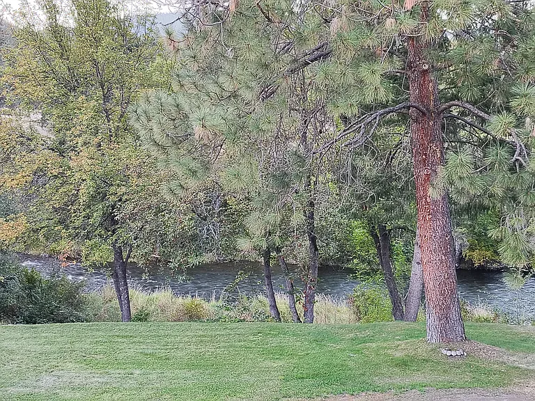 11936 Upper Applegate Rd — Photo 26