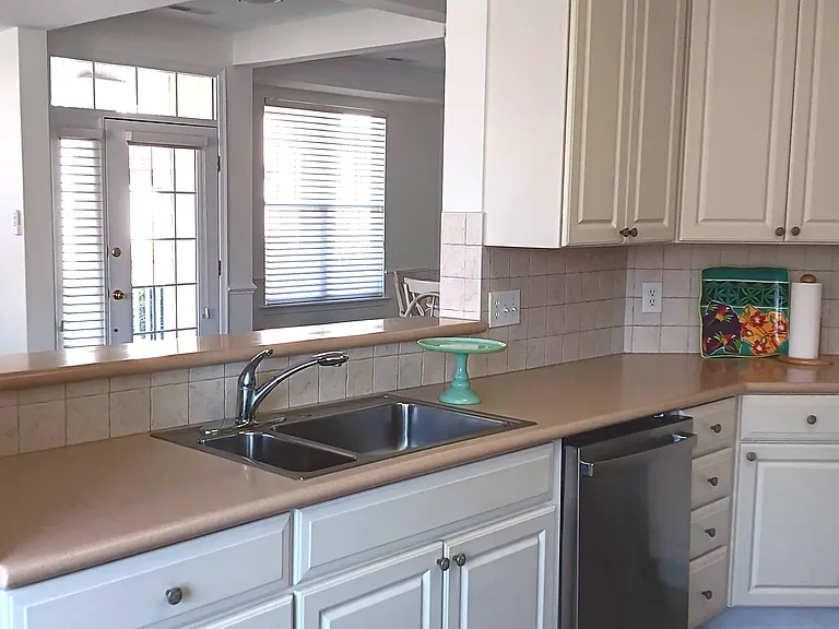 Stainless sink, disposal, dishwasher