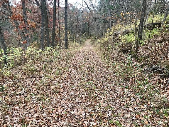 5th image of 54.2 Acres Hwy D
