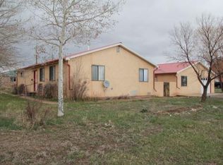 401 Silver Cir #1, Westcliffe, CO 81252