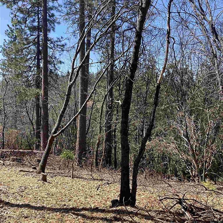 1st image of LOT 3 S Bear Clover Ct