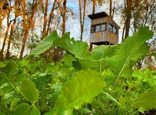 15087 Speaker Rd, Lynn, MI 48097