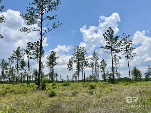 0 County Road 64 Ext, Robertsdale, AL 36567