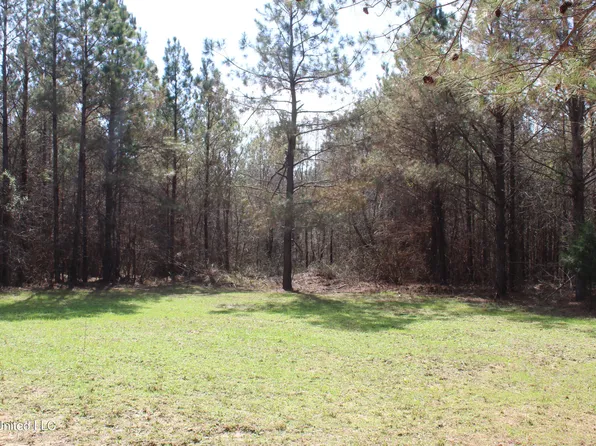 115 Gadd Rd, Hickory Flat, MS 38633