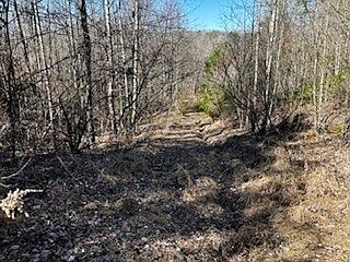 2nd image of Orb Cordell Rd