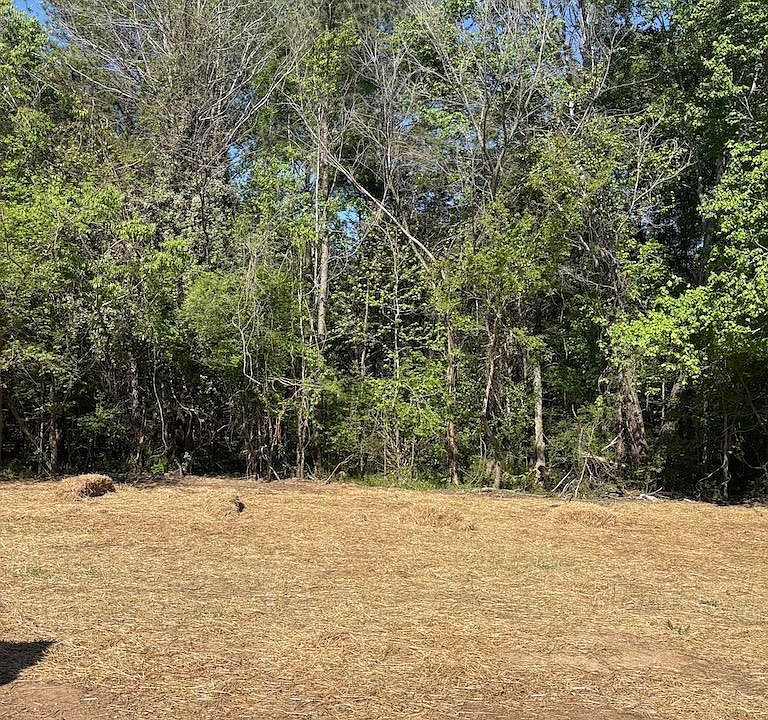 2nd image of 113 Park Cir
