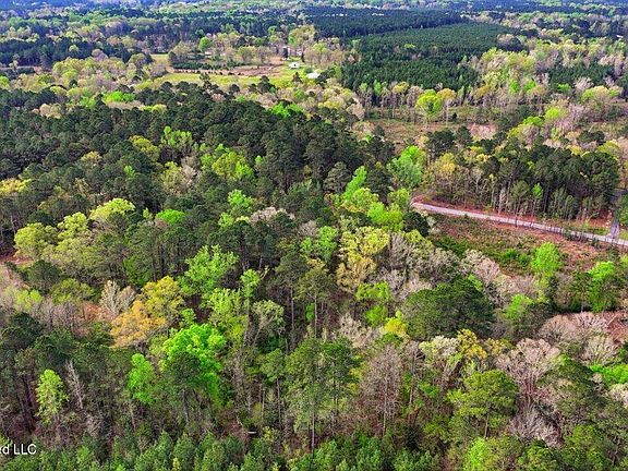 4th image of 0 Harrisville Braxton Rd