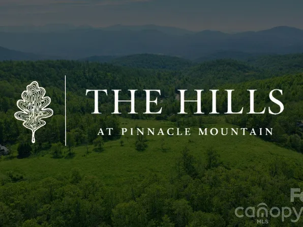 4105 Pinnacle Mountain Rd, Zirconia, NC 28790