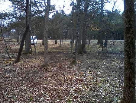 View from Back of Property