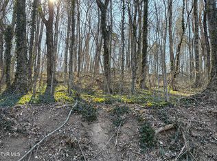 Lots 1 4 Bishop Hollow Rd, Elizabethton, TN 37643