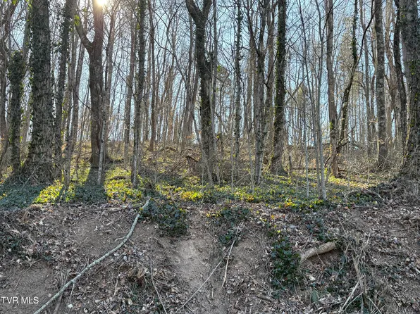 Lots 1 4 Bishop Hollow Rd, Elizabethton, TN 37643