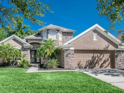 11673 Renaissance View Ct, Tampa, FL, 33626