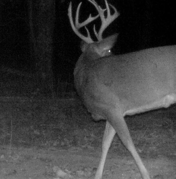 1st image of 94 State Rd