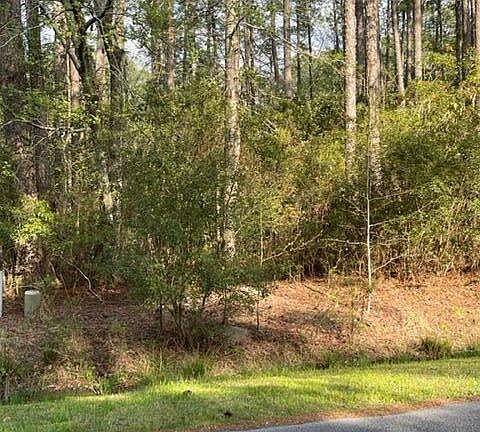 2nd image of Lot #97 Liveoak Lane