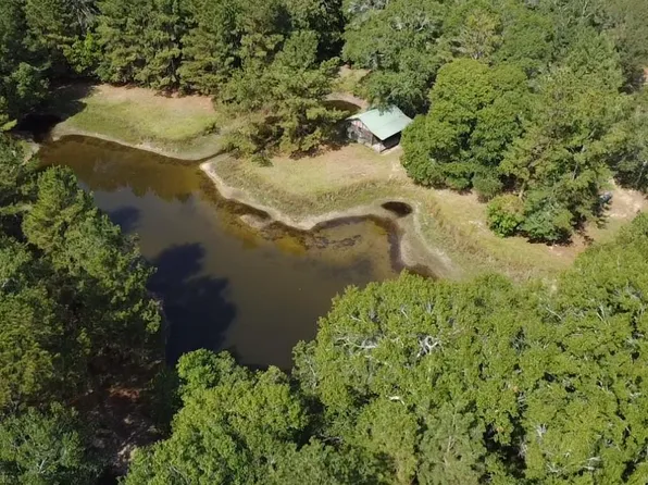 3680 Holly Grove Rd, Livingston, TX 77351