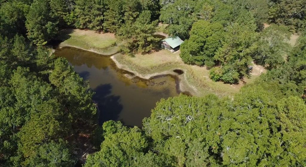 3680 Holly Grove Rd, Livingston, TX