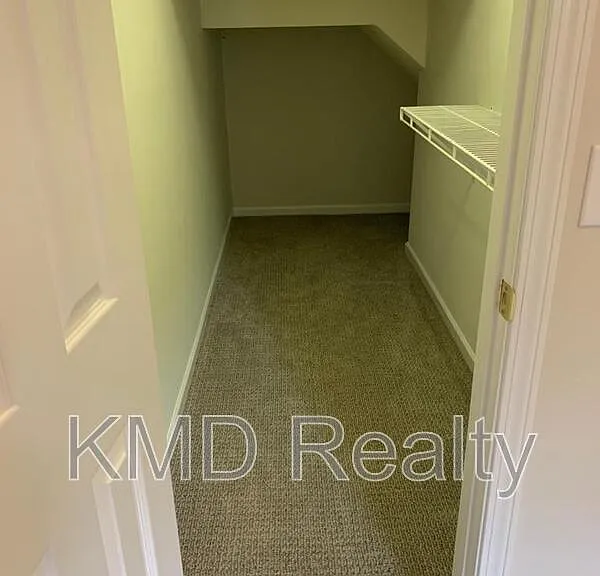 9731 Elizabeth Townes Ln — Photo 24