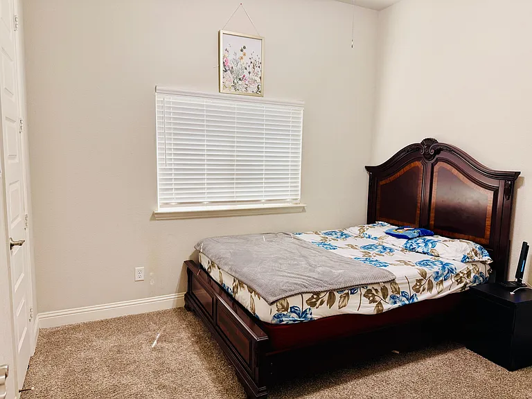 1217 Horsemint Dr — Photo 23