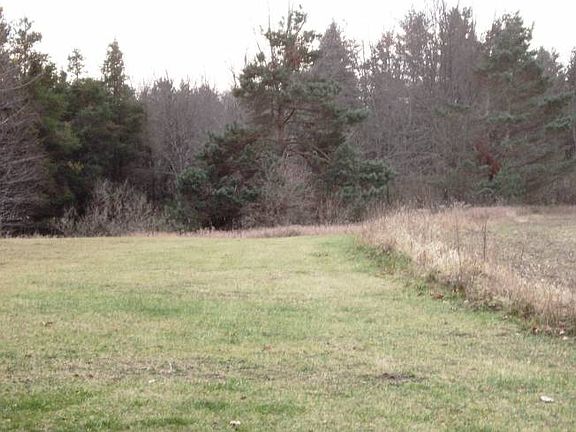 Backyard to woods line