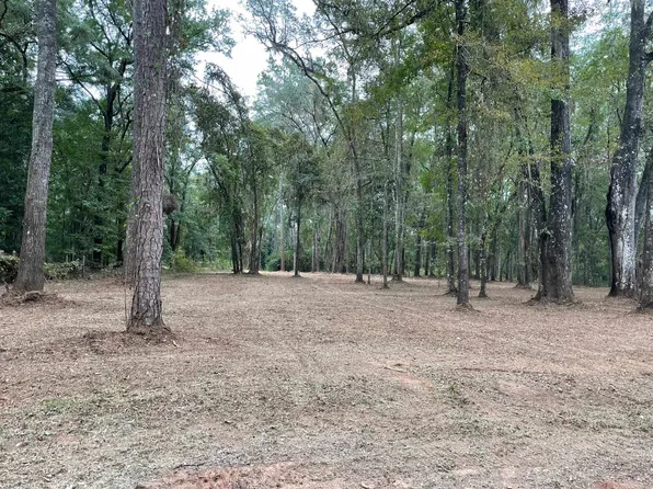 Old Dirt Rd, Tallahassee, FL 32317