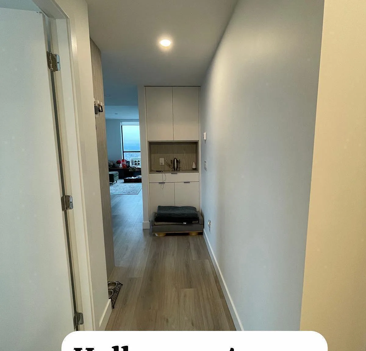 2 bed, 850 sqft, $2,700 — Photo 4