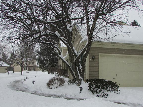 4th image of 1801 Shadywood Ln
