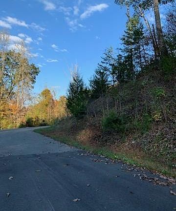 4th image of LOT 913 Eagle Ct