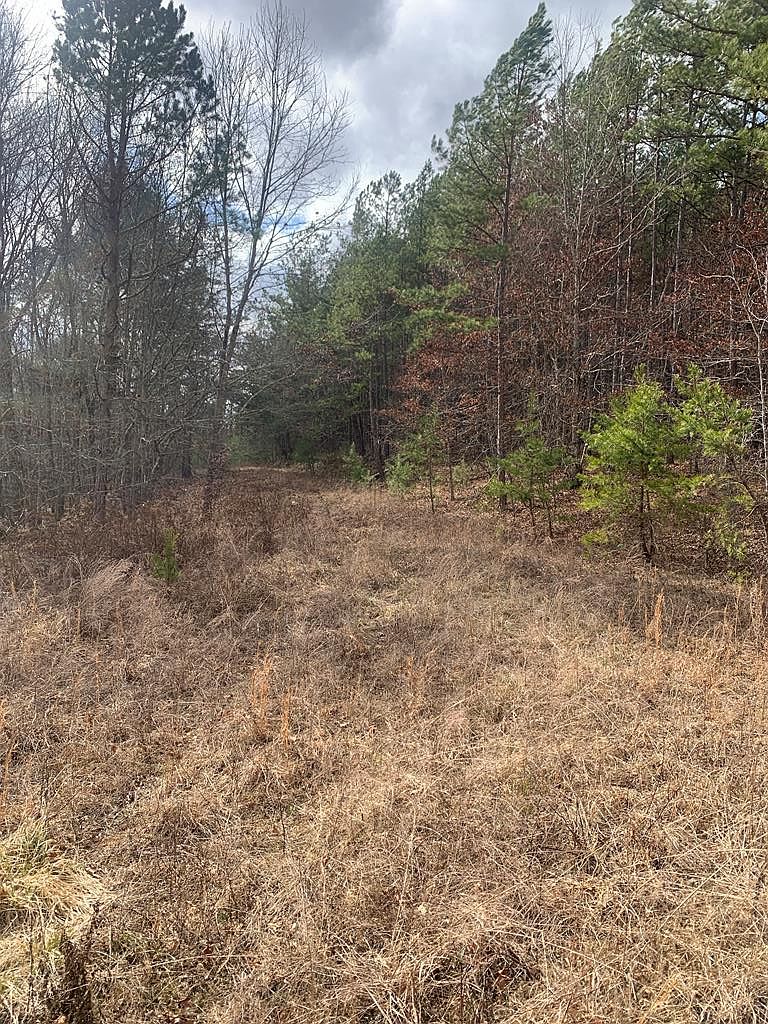 (Undisclosed Address), Sunbright, TN 37872 | MLS #234984 | Zillow