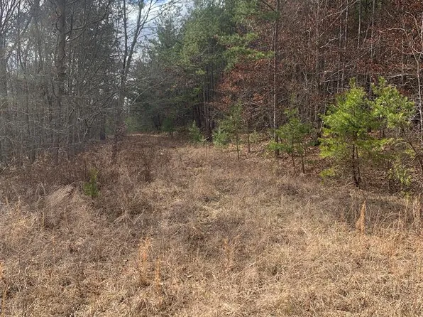 (undisclosed Address), Sunbright, TN 37872