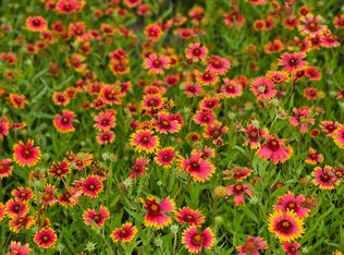 2561 Reese Ln, Azle, TX 76020