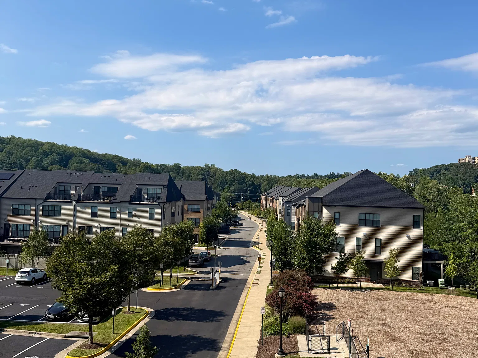1 bed, 781 sqft, $2,600 — Photo 1