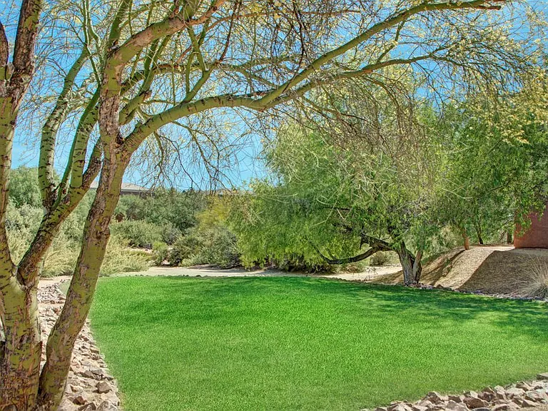 Tierra Vida — Photo 12