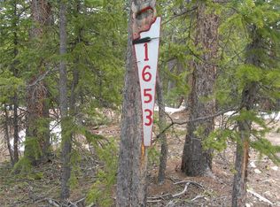1653 County Road 14a, Fairplay, CO 80440