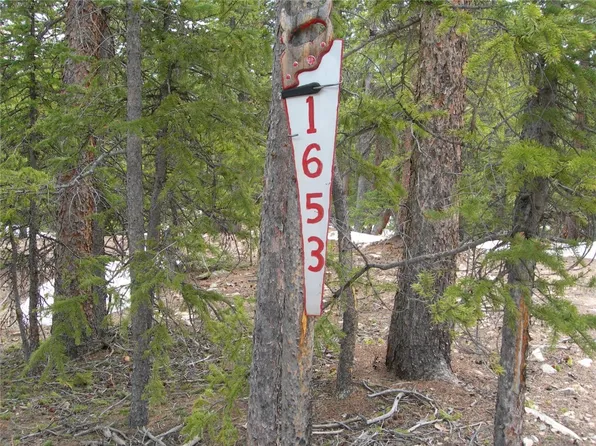 1653 County Road 14a, Fairplay, CO 80440