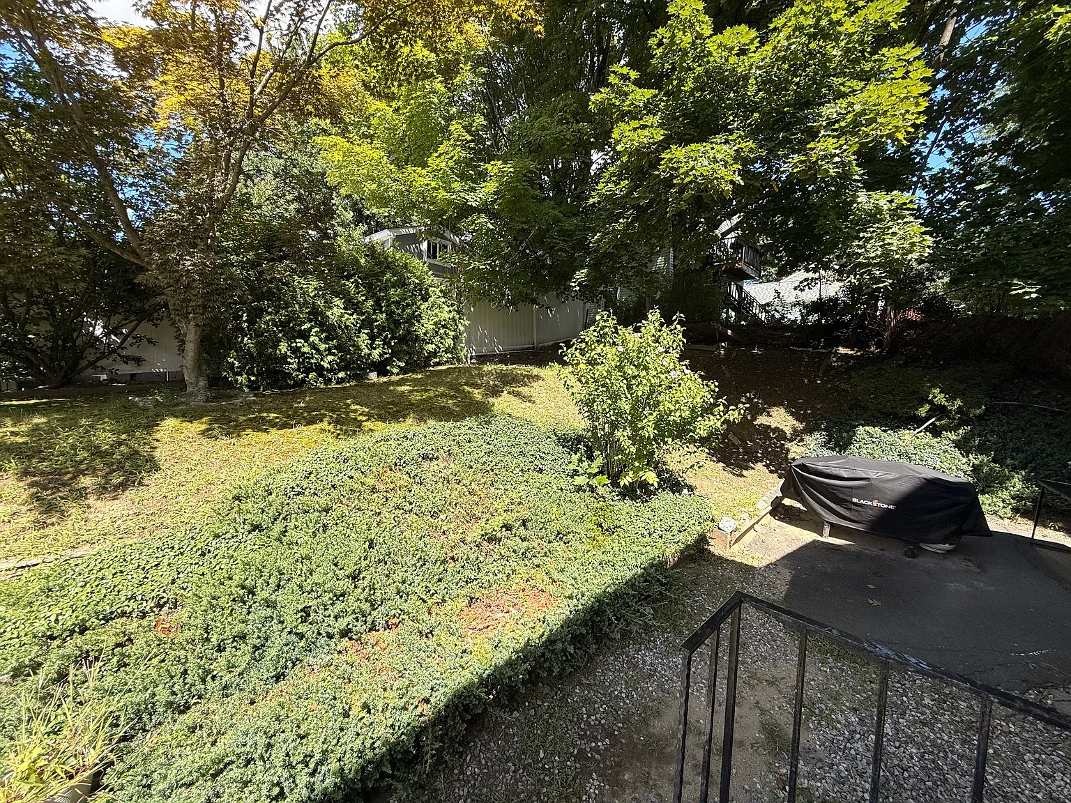 3 bed, 1204 sqft, $3,150 — Photo 2