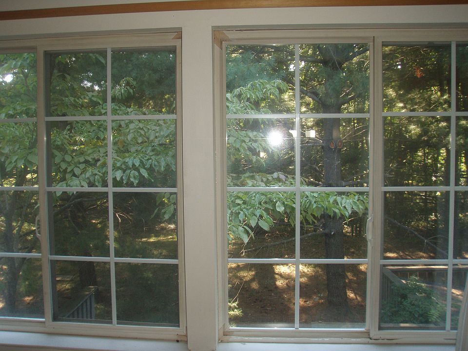 View out back window