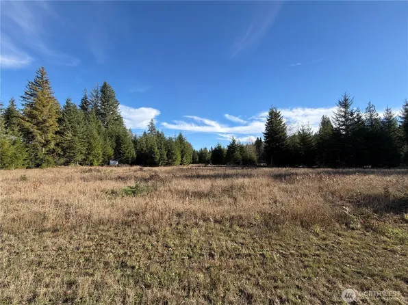 138 Shelton Road, Randle, WA 98377