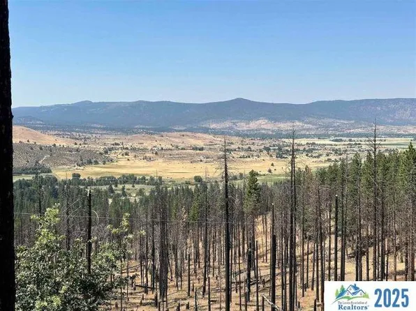 698 940 Old Scotts Logging Rd, Susanville, CA 96130
